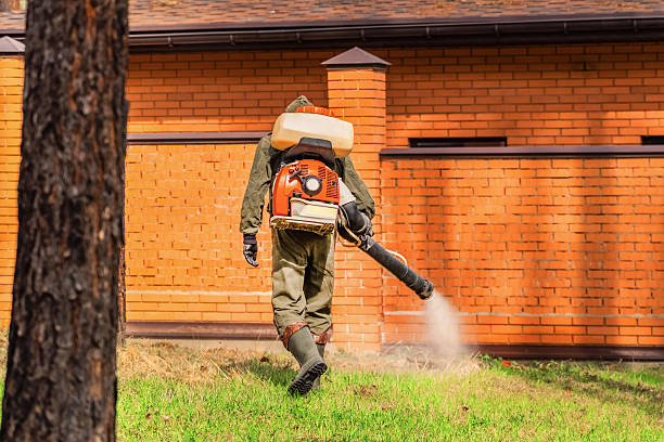 Bed Bug Clearance Verification and Documentation in Dermott